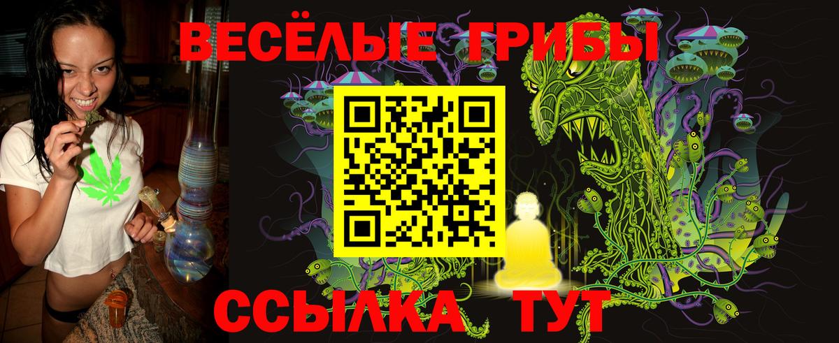 Галлюциногенные грибы прущие грибы Сокол